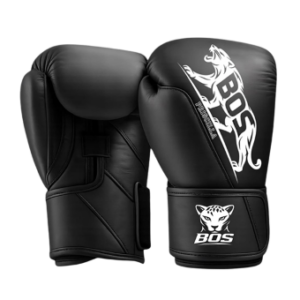 Boxhandschuhe