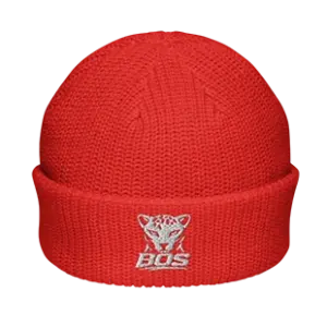 Fisherman beanie